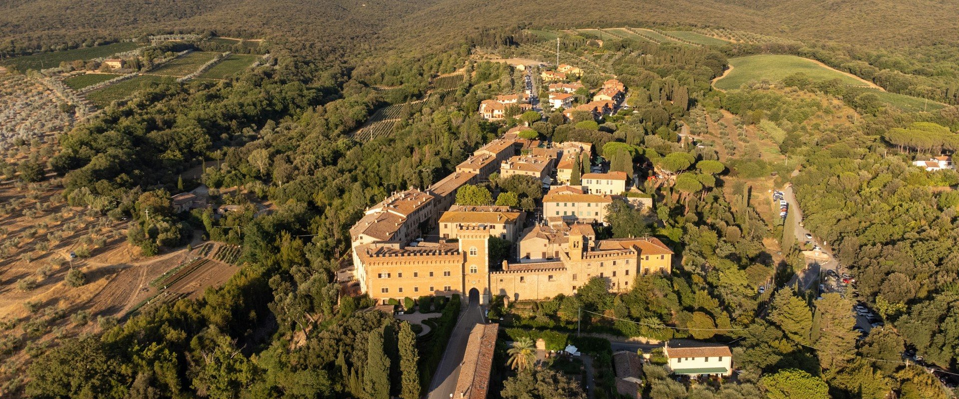 Bolgheri